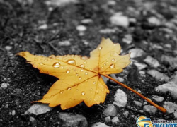 В Новочеркасске в последние дни октября потеплеет, и пойдут дожди