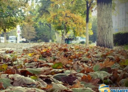 В Новочеркасск на 10 дней вернулось тепло до 12 градусов