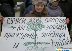 Рассмотрение дела о строительстве детских садов в роще Новочеркасска суд перенес на 15 июля