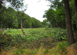 В Новочеркасске в районе улицы Ветеринарной и терапевтического корпуса строится жилье экономкласса