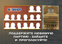 «Блокнот Новочеркасска» предлагает читателям отдать свой голос за наиболее достойную партию