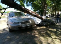 В Новочеркасске сгнивший столб обрушился на припаркованные машины