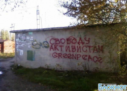 В Новочеркасске объявились сторонники «Гринписа»