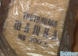 В Новочеркасске участковый изъял у местного жителя тротиловую шашку