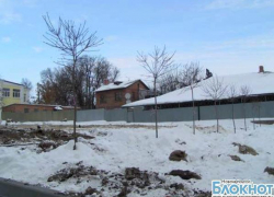 В Новочеркасске посадили деревья в 15-градусный мороз