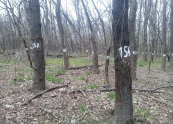 Арбитражный суд отказал в требовании расторгнуть контракт на строительство детского сада в новочеркасской роще