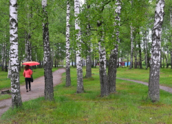 В Новочеркасск снова вернулись дожди