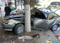 В Новочеркасске ВАЗ-2113 врезался в ель, один человек пострадал