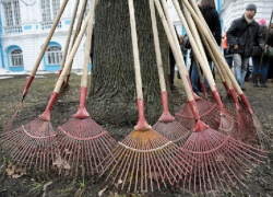  Новочеркассцев пригласили на субботник со своим инвентарем и мешками для мусора