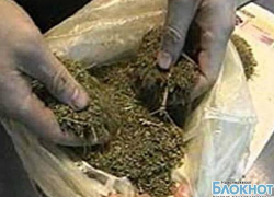 Наркополицейские задержали в лесополосе на окраине Новочеркасска двоих мужчин с 2,5 кг марихуаны