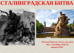 В Новочеркасске открылась выставка в честь 75-летия Сталинградской битвы