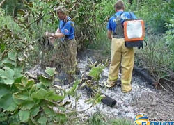 В Новочеркасске неизвестные сожгли мусор в роще «Красная весна»