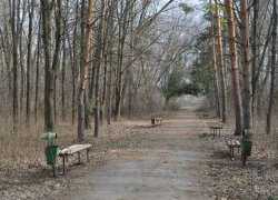 Власти Новочеркасска оформят в городскую собственность парк в микрорайоне Ключевое