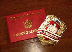 Новочеркасским дружинникам разрешат применять физическую силу в отношении хулиганов и преступников