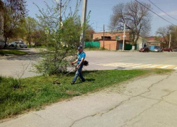 В Новочеркасске на 27 улицах покосили траву 