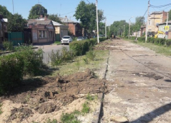 Деревья и кустарники спилили городские власти на улице Просвещения Новочеркасска