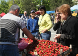 В Новочеркасске прошел гастрономический фестиваль