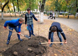 Курильщики из Новочеркасска подтвердили отказ от вредной привычки посаженными деревьями