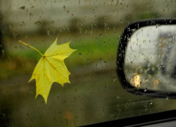 В Новочеркасске к концу недели ожидаются заморозки