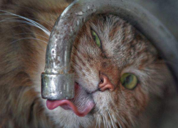 Водоканал Новочеркасска снова перенес дату отключения воды