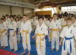 Каратисты из Новочеркасска успешно выступили на областном турнире по киокусинкай