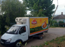 Возомнившая себя «Кристиной», «Газель» без водителя оставила без света несколько домов в Новочеркасске