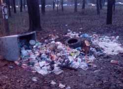 Парк НЭВЗа на Соцгороде постепенно превращается в помойку