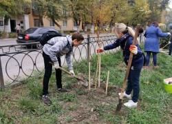 Почти тысячу деревьев высадили в Новочеркасске в осенний день древонасаждения