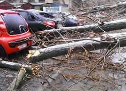  Стихия принесла разрушения по всему Новочеркасску