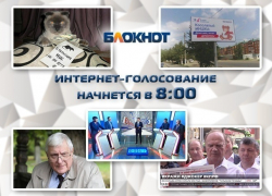 Заявление кота, кража газет и пародия на Медведева оживили предвыборную борьбу конца лета