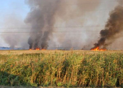 Жителей Новочеркасска попросили не посещать приграничные с Украиной районы Ростовской области