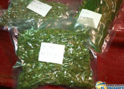 Дома у новочеркасского хулигана обнаружили килограмм марихуаны