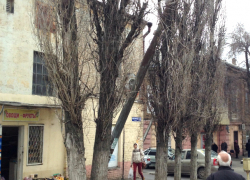 Тяжелая металлическая опора упала на дерево на улице Орджоникидзе в Новочеркасске