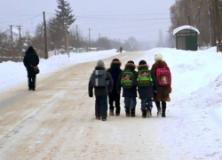 Школы Новочеркасска заработали по обычному расписанию