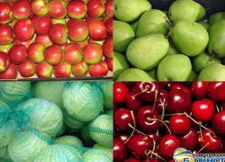 Россия с 1 августа запрещает ввоз фруктов и овощей из Польши