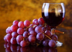 Новочеркасцы смогут продегустировать южные вина