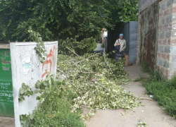 Брошенные спиленные ветки на улице Думенко в Новочеркасске возмутили горожан