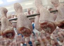 Россельхознадзор запретил поставки мяса птицы из США