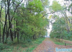 Митинг в поддержку рощи «Красная весна» в Новочеркасске 24 ноября не состоится