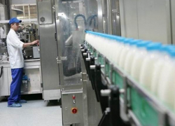 Молочные продукты из Украины запретили ввозить в Россию