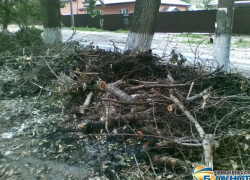 В Новочеркасске возле школы уже месяц лежат спиленные ветки