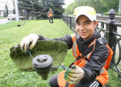 В городском бюджете денег на покос травы может не хватить