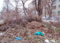 Жители Новочеркасска на улице Энгельса организовали стихийную свалку