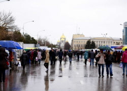 Городские власти предложили предпринимателям бесплатно поучаствовать в ярмарке в центре Новочеркасска