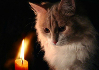 Из-за ремонта ЛЭП, 4 июля в Новочеркасске снова отключат свет