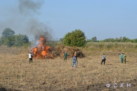 В Новочеркасске сожгли огромную кучу конопли