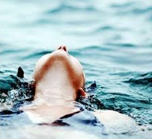 В пруду под Новочеркасском утонула женщина