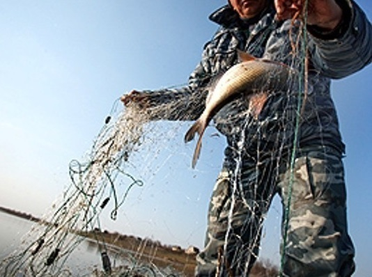 В Новочеркасске будут отлавливать рыбаков-браконьеров