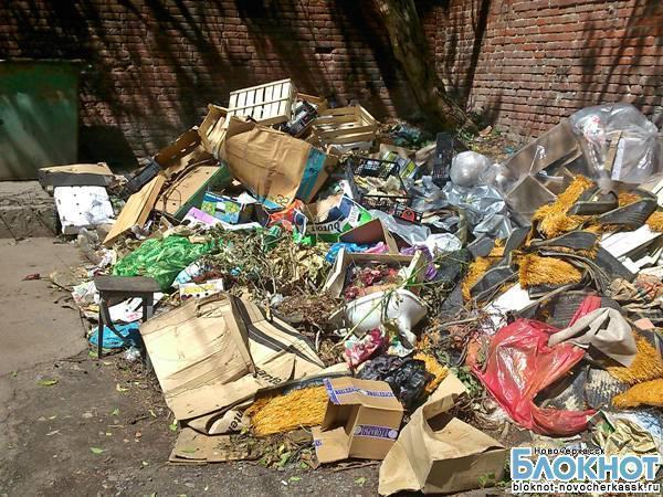 Типичный Новочеркасск: мусор лежит – счета растут
