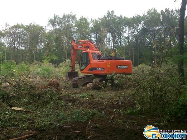 В Новочеркасске на месте строительства детского сада в роще деревья больше не пилили (ВИДЕО)